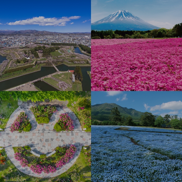  日本一周ライブツアー～母の日にお花の絶景を贈ろう～