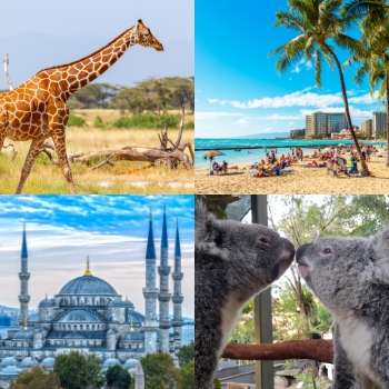 【王道】世界一周ライブツアー