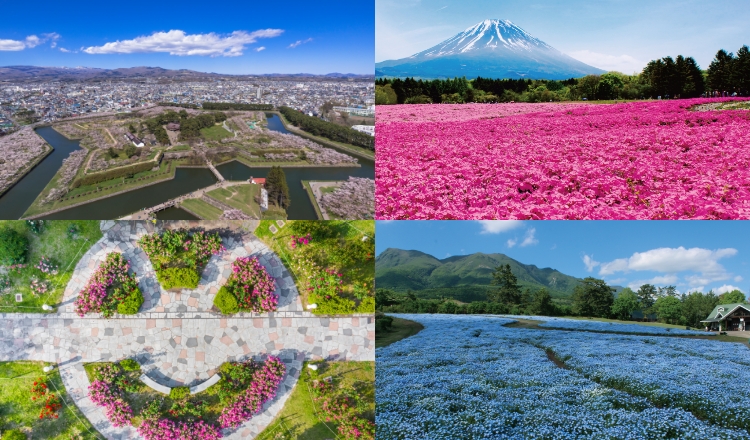 日本一周ライブツアー～母の日にお花の絶景を贈ろう～