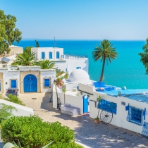 【チュニジア】 世界遺産「カルタゴ遺跡」と青と白の街「シディブサイド」を巡る歴史と絶景ライブツアー