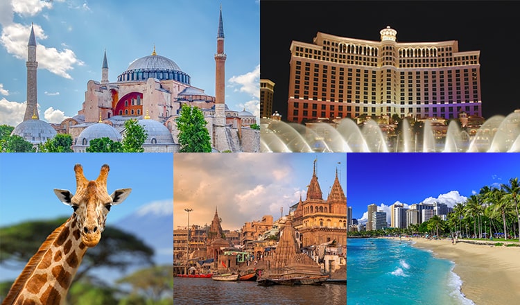 【王道】世界一周ライブツアー