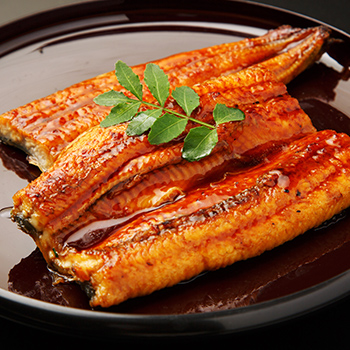 静岡 浜名湖うなぎ蒲焼 3枚