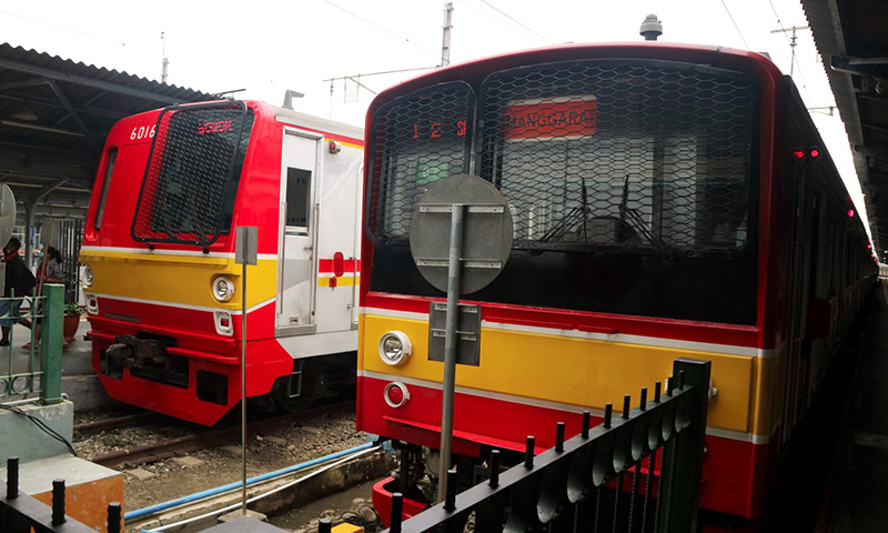 日本じゃ見られない光景