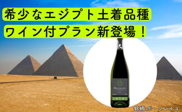 世界遺産エジプト ギザのピラミッドとスフィンクス ライブツアー His オンラインツアー