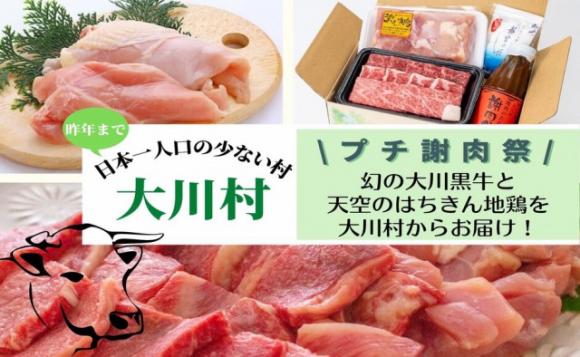 日本のオンライン体験ツアー His