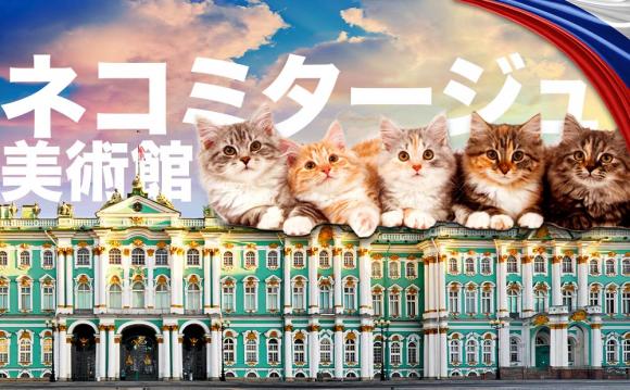 猫好き満喫 ヨーロッパのオンライン体験ツアー His オンライン体験ツアー His