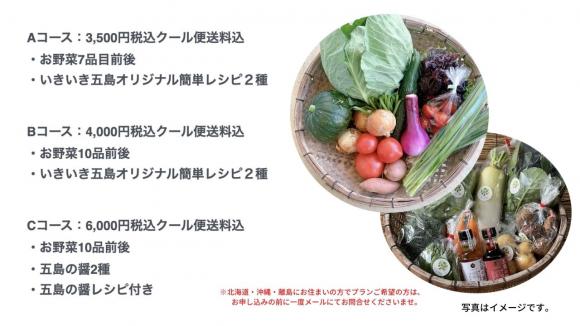 Aコース：お野菜7品前後＋レシピ2種 3,500円(税・送料込)　※北海道・沖縄・離島を除く