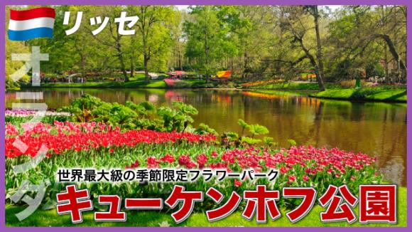 世界の雑学チャンネル_オランダ「キューケンホフ公園」