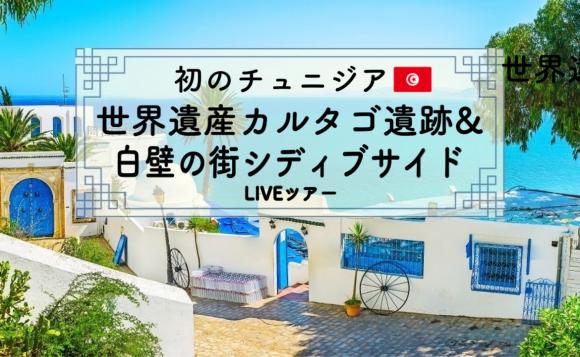 チュニジア 世界遺産 カルタゴ遺跡 と青と白の街 シディブサイド を巡る歴史と絶景ライブツアー His オンラインツアー