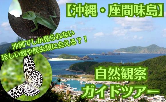 【沖縄・座間味島】高月山展望台からライブでお届け！自然観察ガイドツアー 