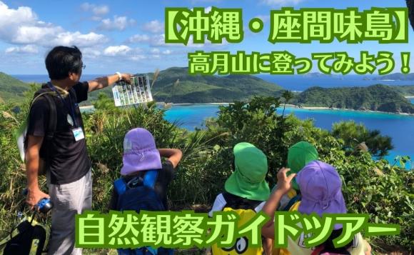 【沖縄・座間味島】珍しい南の島の生物たち！自然観察ツアー