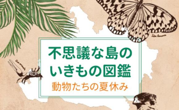 【沖縄・西表島】不思議な島のいきもの図鑑～動物たちの夏休み～