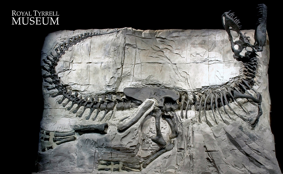 【HIS独占ライブセミナー】一度は行ってみたい！世界三大恐竜博物館@Royal Tyrrell Museum(ロイヤルティレル古生物学博物館)