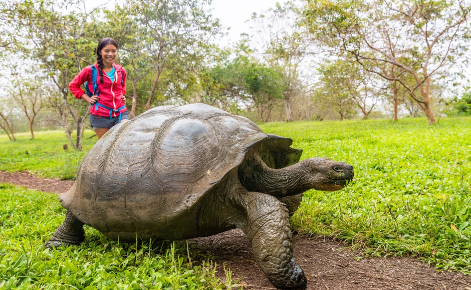 どうぶつの島 世界遺産ガラパゴス諸島の動物たちと仲良くなろう His オンラインツアー どうぶつの島 世界遺産ガラパゴス諸島の動物たちと仲良くなろう His オンラインツアー
