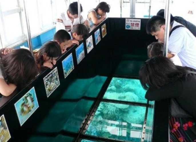 <span class="orange bold">現地オプション</span>
<br/>澄み切った海中の景観と生き物観察を楽しめるグラスボート乗船