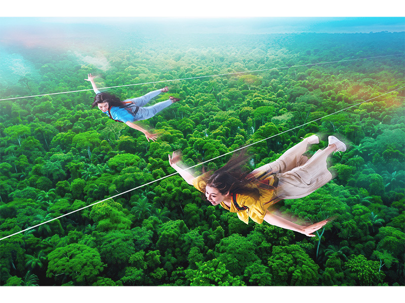 翼のように大きく手を広げたら、力強く羽ばたこう。眼下には、熱帯植物の緑が広がる圧倒的な大自然。果てしなく続く南国の空を、風を切りハイスピードで飛んでいけば、ココロもカラダもスカーッと爽快！自由な鳥の翼を得たまま、ジャングルの谷を越えていこう。
<br/><span class="small red">MAP6</span>
<br/><span class="smallest">※パーク入場後に整理券の取得が必要です。</span>