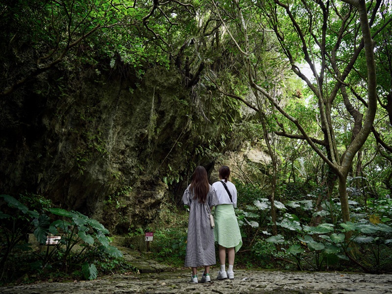 <span class="pink bold">★午前発★</span>半日歴史探究コース<br/>2026年3月31日まで：毎日催行<br/>2026年4月1日以降：月・水・金・日曜日催行<br/>大人<span class="biggest pink bold">3,400</span>円～　<br/>小人<span class="biggest pink bold">2,600</span>円～　