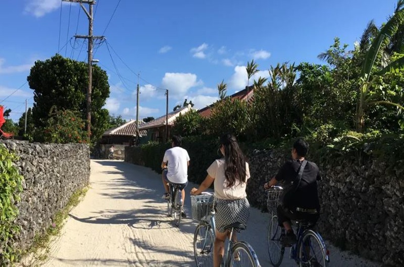 往復乗船券＋水牛車＋レンタサイクル<br/>大人<span class="biggest pink bold">7,100</span>円～　<br/>小人<span class="biggest pink bold">5,000</span>円～