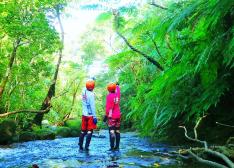 石垣島発／西表島半日アクティビティ体験＆竹富島で水牛車観光（昼食付） 