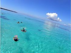 石垣島発／半日シュノーケリング＆竹富島で水牛車観光（昼食付） 