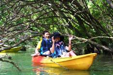 マングローブカヤックツアー／グループ、家族にお得な割引料金あり 