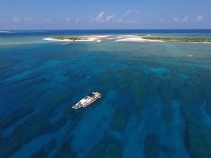 那覇発／ケラマ諸島 日帰りシュノーケリング＋無人島上陸orホエールウォッチング【ランチ付／那覇市内送迎付】Cコース 