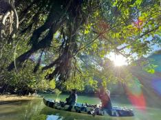 嘉手納町／比謝川マングローブ探検カヤックツアー ＜グループ割・家族割　設定あり＞ 