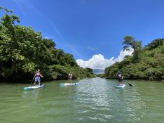 嘉手納町／比謝川マングローブ探検リバーSUP 
