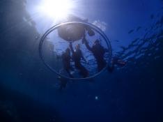 【沖縄・海中道路】完全プライベート！無人島沖シュノーケルツアー☆ 