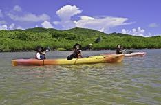 西表島ちょっぴりカヌー体験と由布島＋竹富観光 ※竹富島では水牛車観光など選べる滞在（昼食付） 