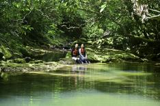 西表ちょっぴりジャングル探検と由布島　2島めぐり（昼食付） 