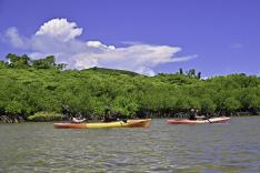 西表ちょっぴりカヌー体験と由布島　2島めぐり（昼食付） 