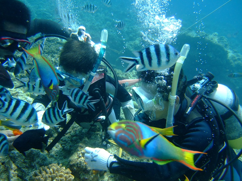 那覇発 ケラマブルーを満喫できる人気コース 3つのポイントをめぐる慶良間ダイビング 1ダイブ シュノーケル ツアー ランチにお弁当付き ウミガメにも会える確立高 那覇市内ホテルの送迎付き H I S Lealeaokinawa 那覇発 ケラマブルーを満喫できる人気コース 3つのポイントをめぐる慶良間ダイビング 1ダイブ シュノーケル ツアー ランチにお弁当付き ウミガメにも会える確立高 那覇市内ホテルの送迎付き H I S Lealeaokinawa