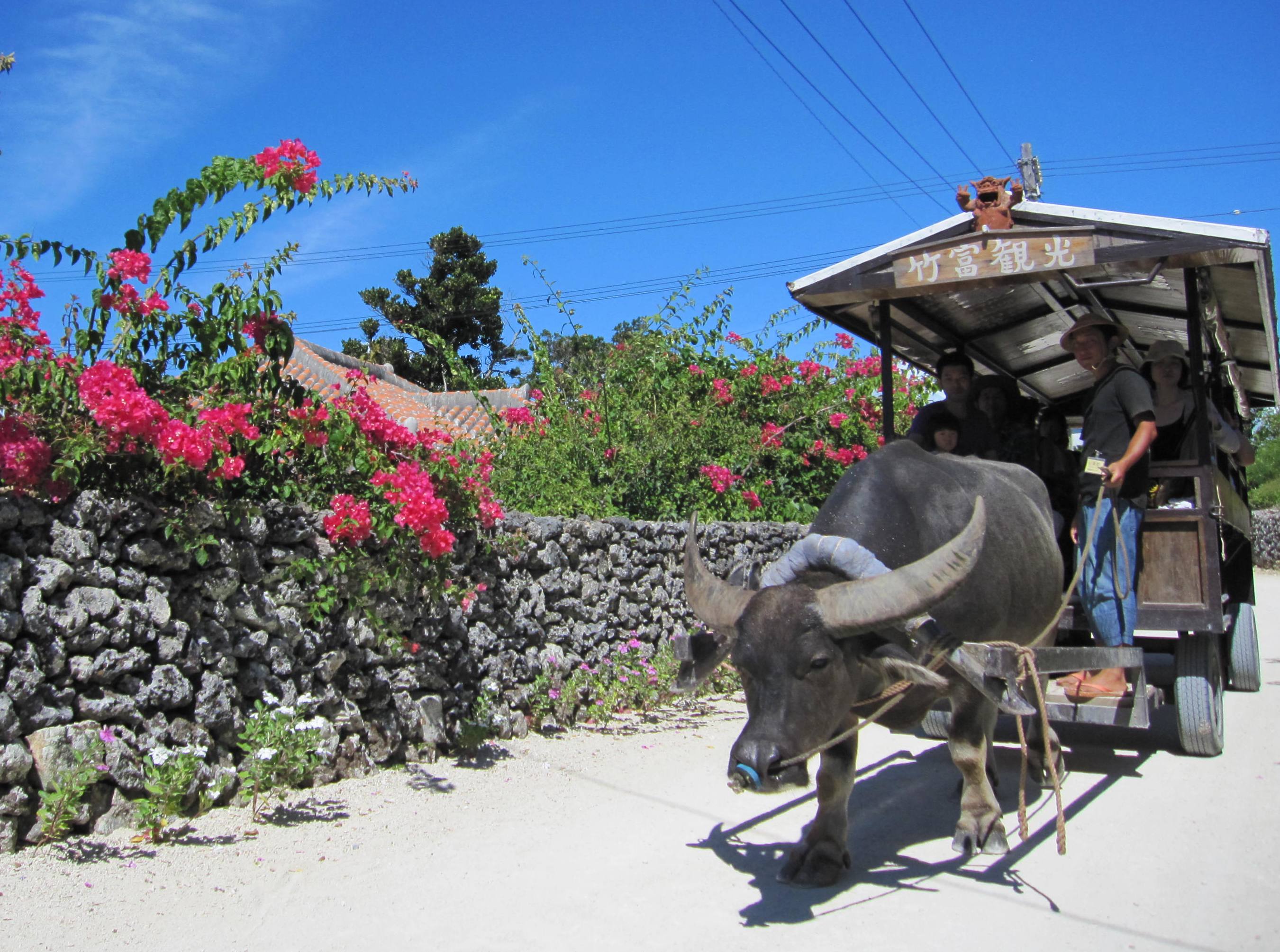 石垣島発 竹富島グラスボート バス 水牛車観光コース H I S Lealeaokinawa