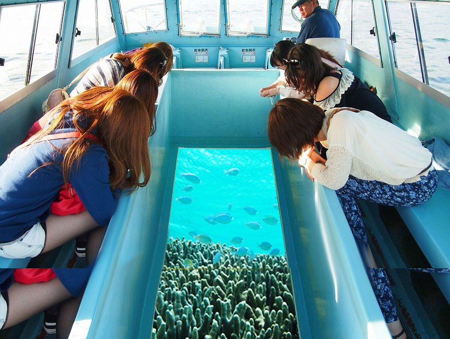 おきなわ彩発見next グラスボート 人気の絶景カフェ くるくま でランチ 2名様参加 H I S Lealeaokinawa