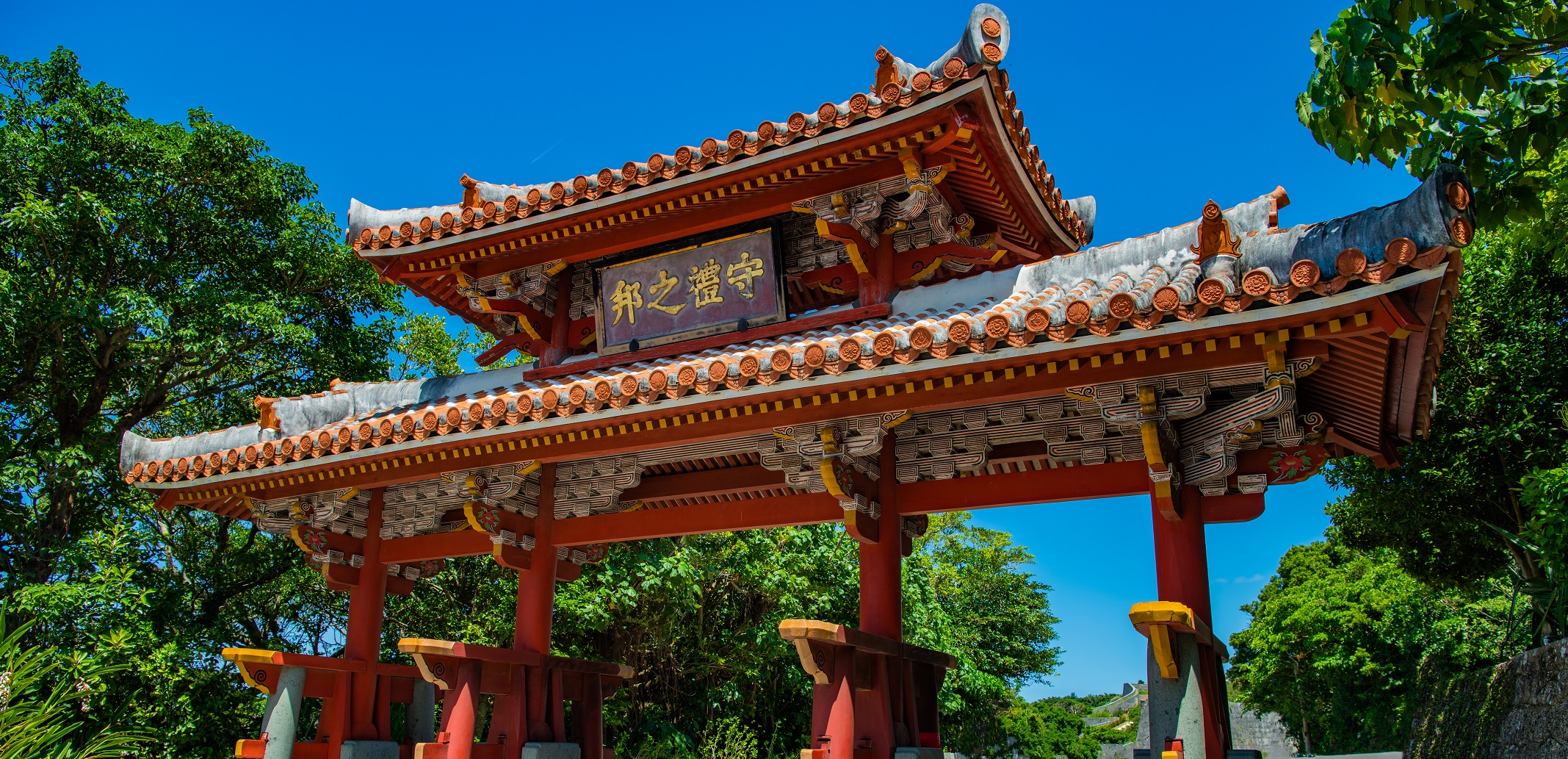 沖縄本島の見どころをバスツアーで満喫
お得なランチ付きツアーもあります。