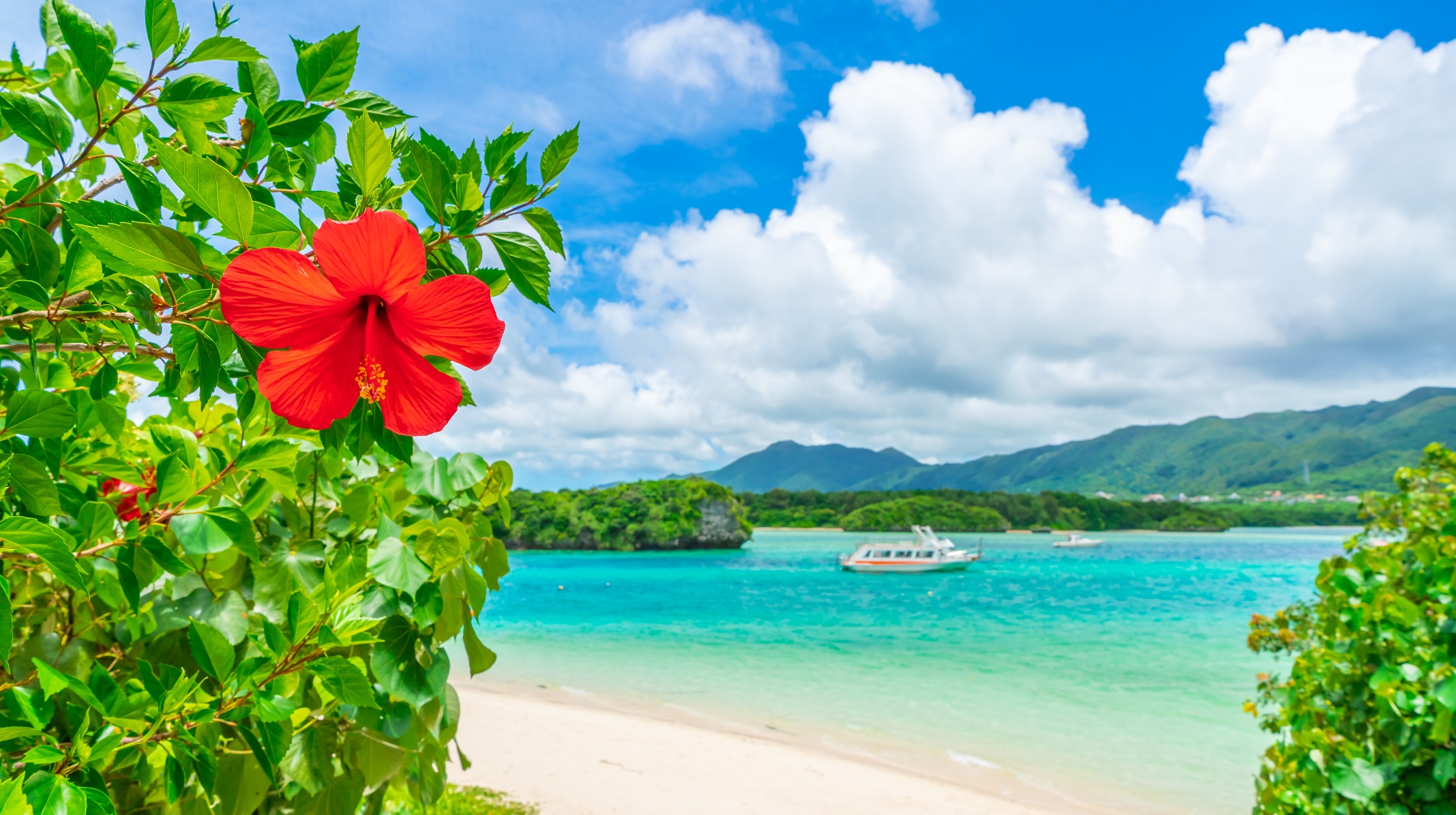 絶対に訪れたい川平湾や
島内の見どころ絶景へご案内