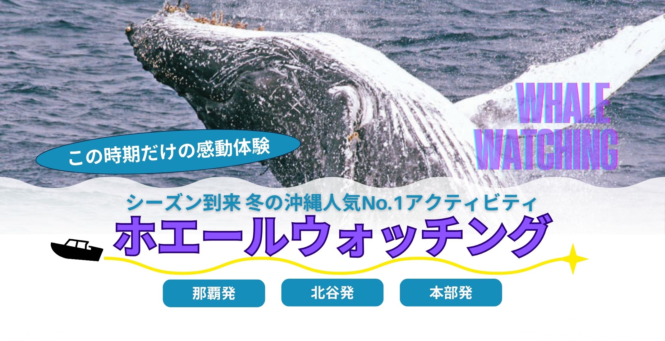 沖縄冬の風物詩　ホエールウォッチング