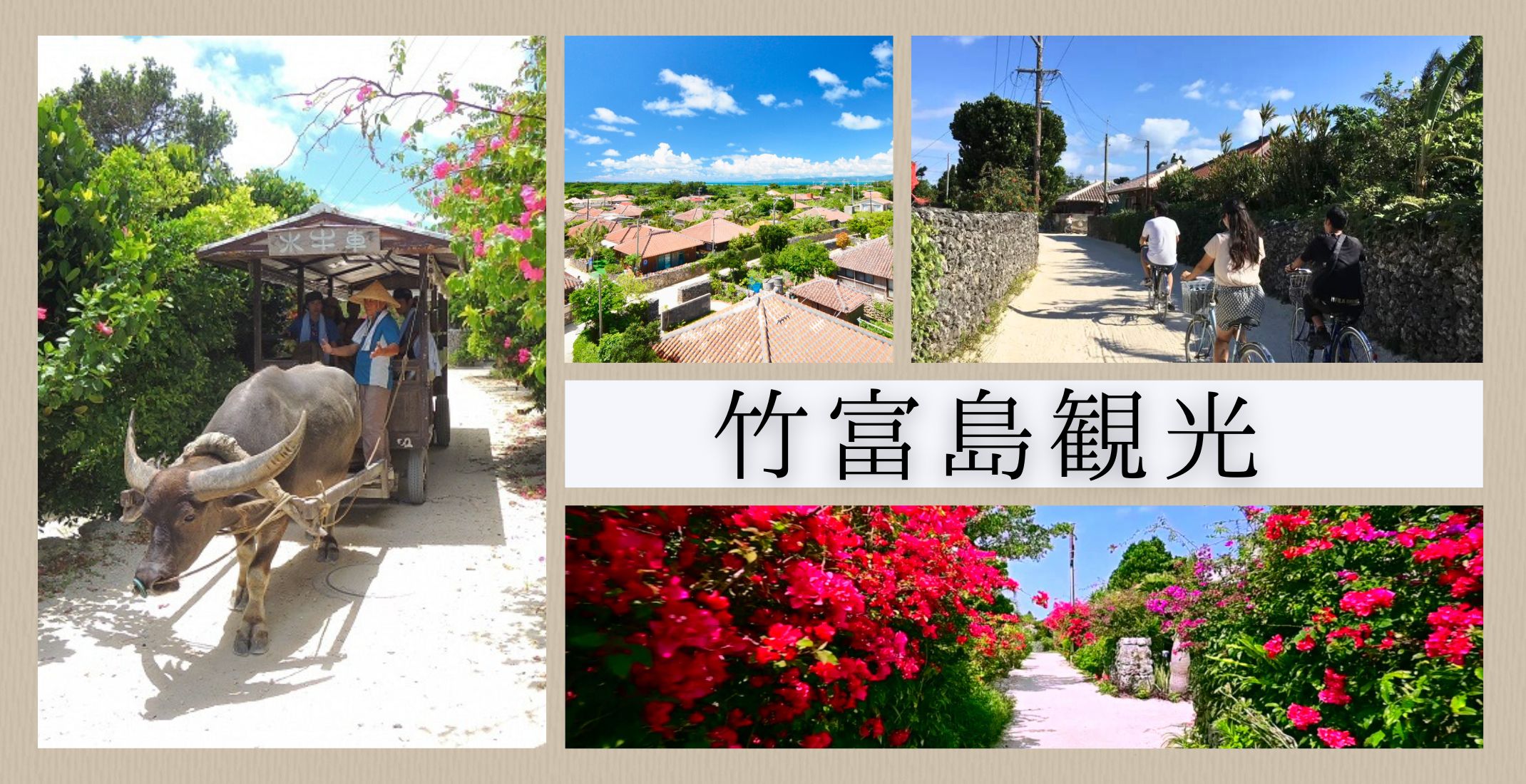 竹富島といえば水牛車観光がおすすめ