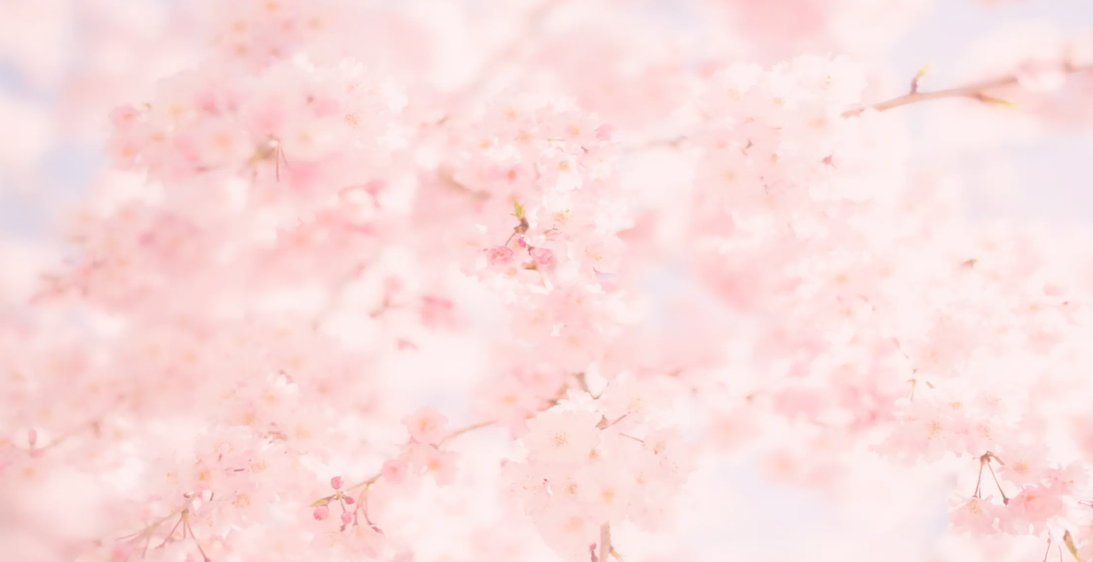 春旅ウルトラセール開催中
お得に沖縄・宮古・石垣のバスツアーを楽しもう