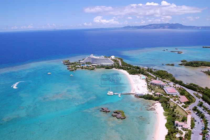 アクティビティ