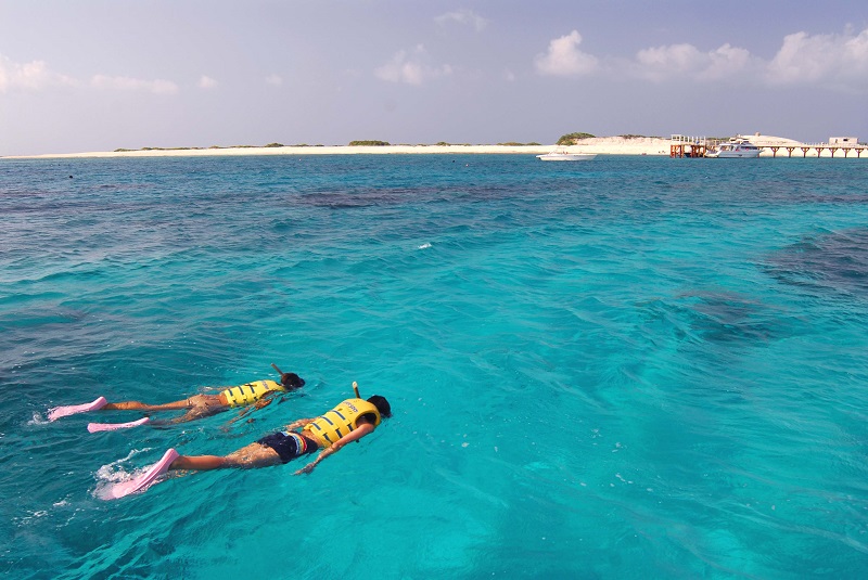 アクティビティ