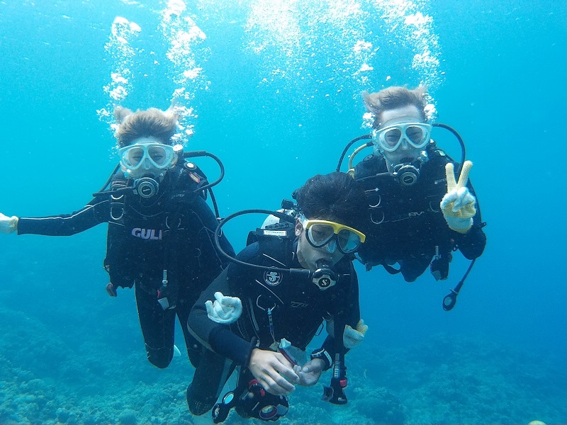 アクティビティ