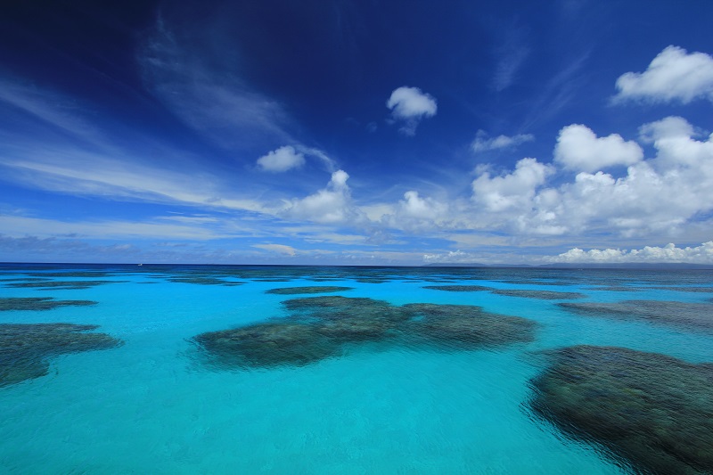 アクティビティ