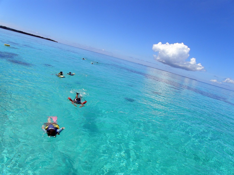 アクティビティ