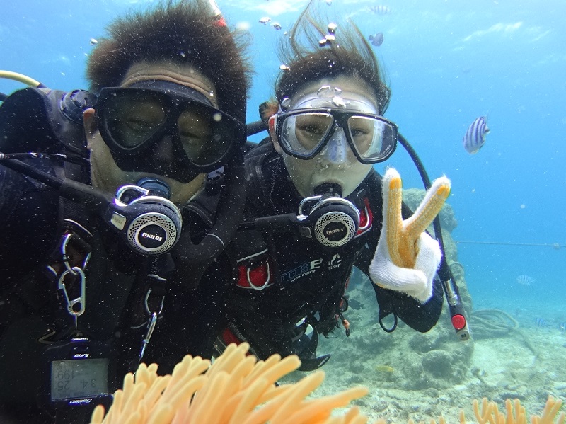 アクティビティ