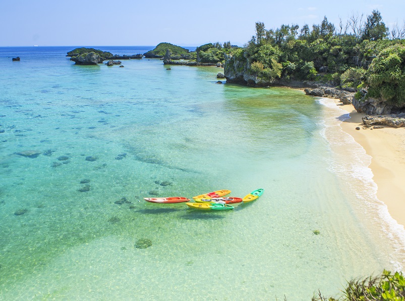 アクティビティ