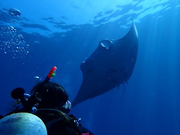 アクティビティ