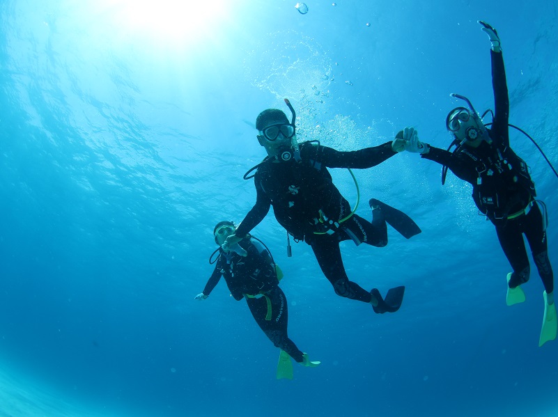 アクティビティ