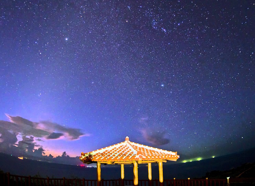 アクティビティ